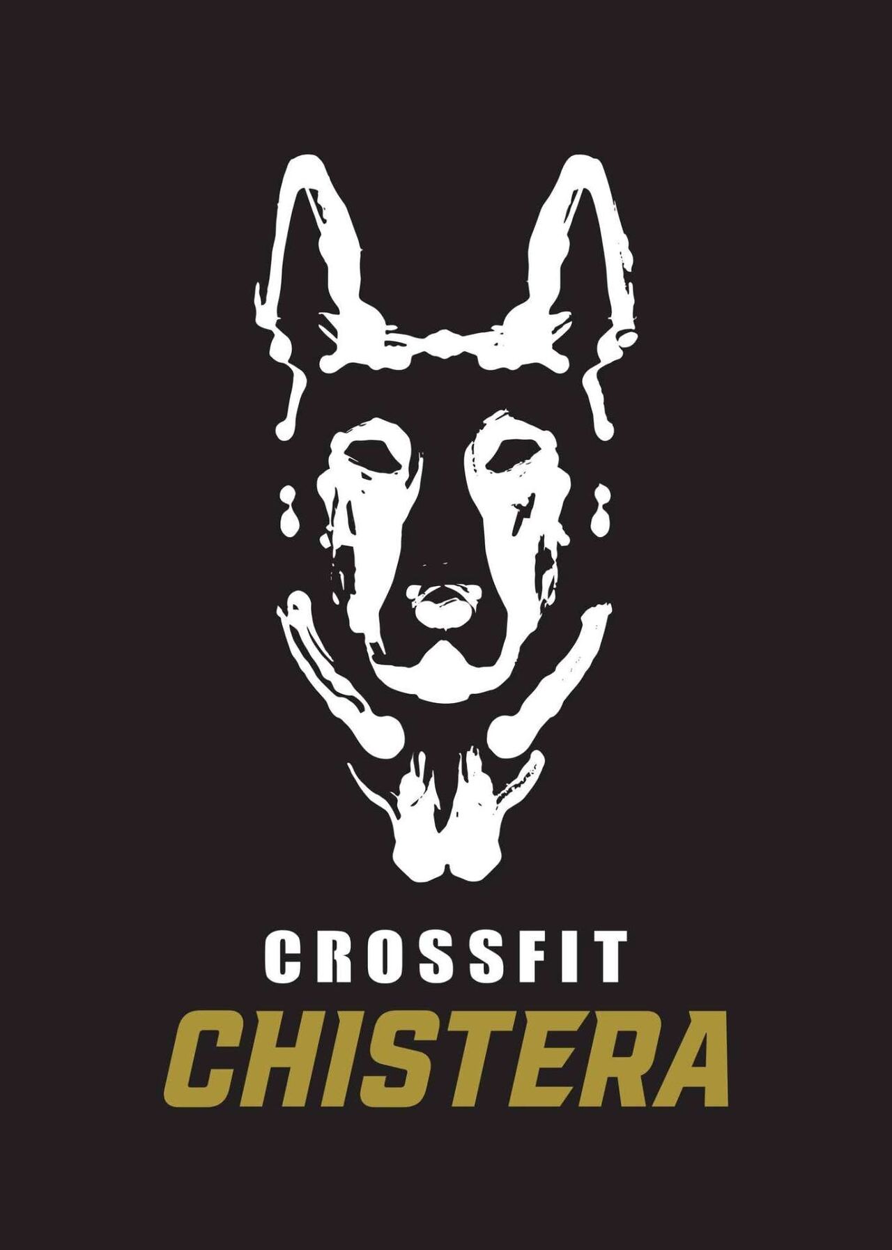 CrossFit Chistera — ambiance de la box